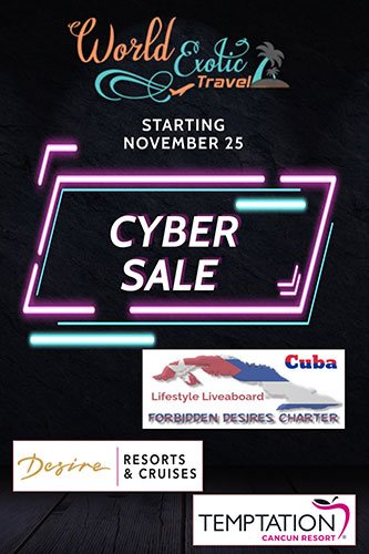 wetCyber sale poster