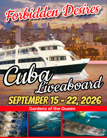 Cuba liveaboard