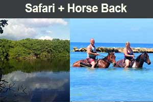 Safari Horse Back